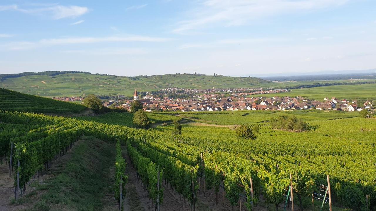 Gite Des Seigneurs Ammerschwihr Exterior photo